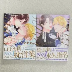 シークレットアフター sparkle 園瀬もち　2冊セット