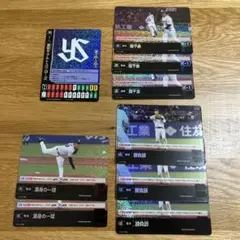 ドリームオーダー　ヤクルト　プロモセット