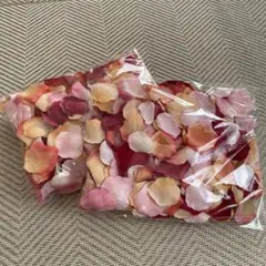 Item thumbnail for item 5c44d83a-8f38-4447-89df-5cea7e2b82d2