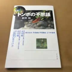 トンボの不思議
