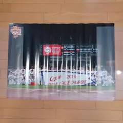 Carp 2016 中央リーグチャンピオン ポスター
