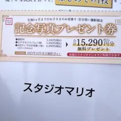 スタジオマリオクーポン券