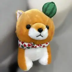 まるたま豆しば三兄弟サマー豆太郎JBサイズ新品タグ付き