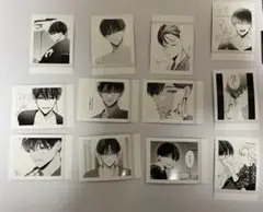 専用　12枚　踏んだり、蹴ったり、愛したり　踏み愛　ぱしゃこれ