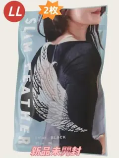 Item thumbnail for item bc0e44b3-aa09-4cae-bb9b-e5a97f070830