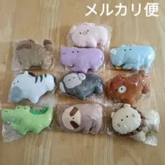つぶらな瞳の動物園 マスコット 未開封 タグ付き １０点セット