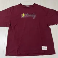 Item thumbnail for item a0c6c8de-1d9a-4eeb-8dd2-cb61c6b66d09