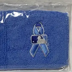 (新品) MLB 父の日 リストバンド 水色 限定