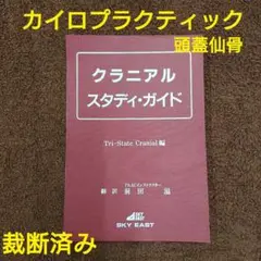 【値下げ中】カイロプラクティック　テキスト 31R3WT86MEL.jpg