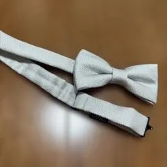 Item thumbnail for item ab290486-b8a5-404d-bf51-890dc1b915c8