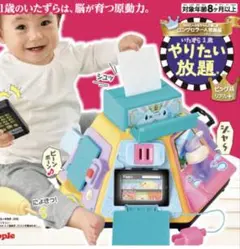 いたずら1歳やりたい放題 おもちゃ
