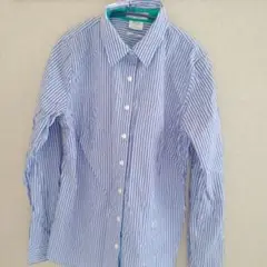 Van Heusen 青白ストライプシャツ L/G