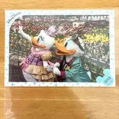 ディズニー スペシャルフォト ファッショナブルイースター　ドナルド　デイジー