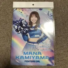 ファイターズガール推しくじ　A賞 プロ野球】北海道日本ハムファイターズ～ファイターズガール