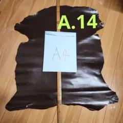 キット祭り=8月30日迄=値下げ【A14】牛革キット　焦げ茶