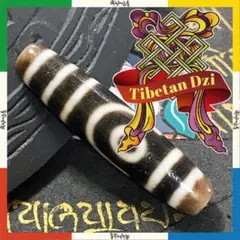 二眼天珠　チベット Dzi Bead　天珠ワールドNo.14