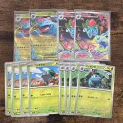 フシギバナ進化ライン　フシギソウar ×2