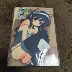 ニンテンドー3DS 閃乱カグラBURST　オリジナルドラマCD 非売品