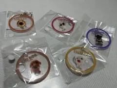 【バラ売り可能です】ザドック　アクリルキーホルダー5点セット