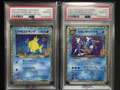 マ*オ様 ひかるギャラドス ひかるギャラドス ポケカ 旧裏