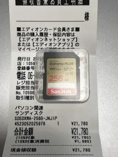 SanDisk Extreme Plus 256GB