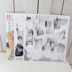 南くんはその声に焦らされたい3 相野ココ 特典 4点セット