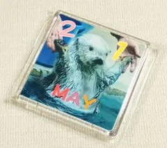 誕生日限定 鳥羽水族館 メイちゃん マグネット 新品
