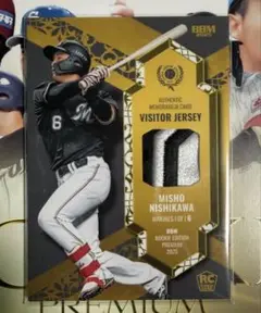 Item thumbnail for item 5c3ce06a-fdbc-4532-8f54-b12dfe7f205c