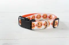Item thumbnail for item e55e8ffd-9a02-4f5e-a375-88ba67c8f4bf