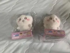 Item thumbnail for item 8293b4f6-e88c-48f7-bcaf-b9dd34472262