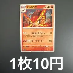 マルヤクデ　在庫1