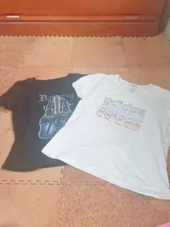 チビTシャツ2枚セット 試着のみ Lサイズ 美品夏 Tシャツ