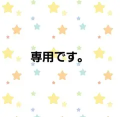 専用です。