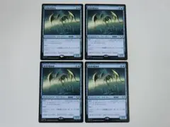 MTG 思考の監視者 久遠の終端 日 4枚セット