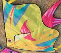Item thumbnail for item 3caafaff-1669-4a98-a1bc-9b224d0a9920