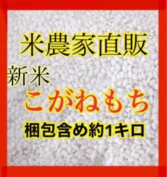 農家直販 最高級品 令和4年 こがねもち もち米 新米 1キロ 餅米 玄米 白米