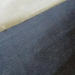 脱アイソトープ実験プロトコール