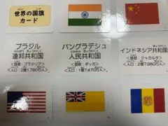 小学校　社会　世界の国旗カードA7サイズ196枚