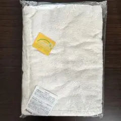 Item thumbnail for item fe76b658-b882-4978-a292-3ec480fb6814