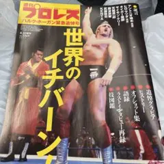 週刊プロレスハルクホーガン追悼号