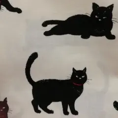 カットクロス 白地にくろねこちゃん