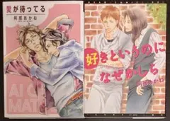 阿部あかね2冊セット