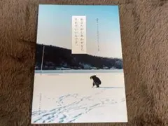 非売品『あなたがしあわせならそれでいいんです。』