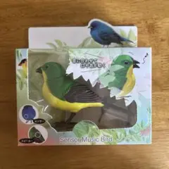 センサー ミュージック バード インコ