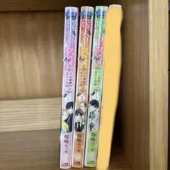 嫁入りのススメ