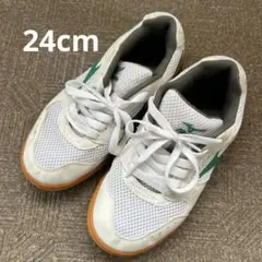 訳あり 体育館シューズ MIZUNO 室内シューズ
