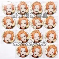B-PROJECT Bプロ 明謙 ビズログ 有償特典 缶バッジ 15点 未開封