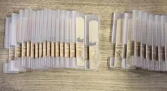 Item thumbnail for item 07394cca-9ebd-45f4-89b5-67f21f28dd1a
