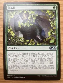 MTG 夏の帳 日本語版 1枚