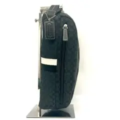 Item thumbnail for item ceb996f1-c48c-4edb-9c36-c2399d76ec60